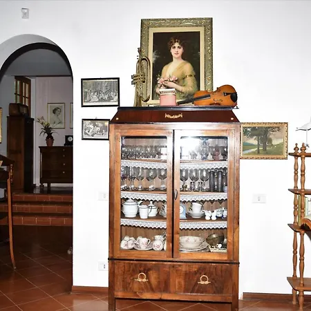 Casa Gialla Nel Bosco Daire Reggello