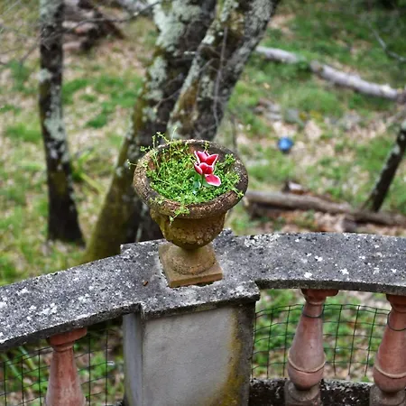 Casa Gialla Nel Bosco *